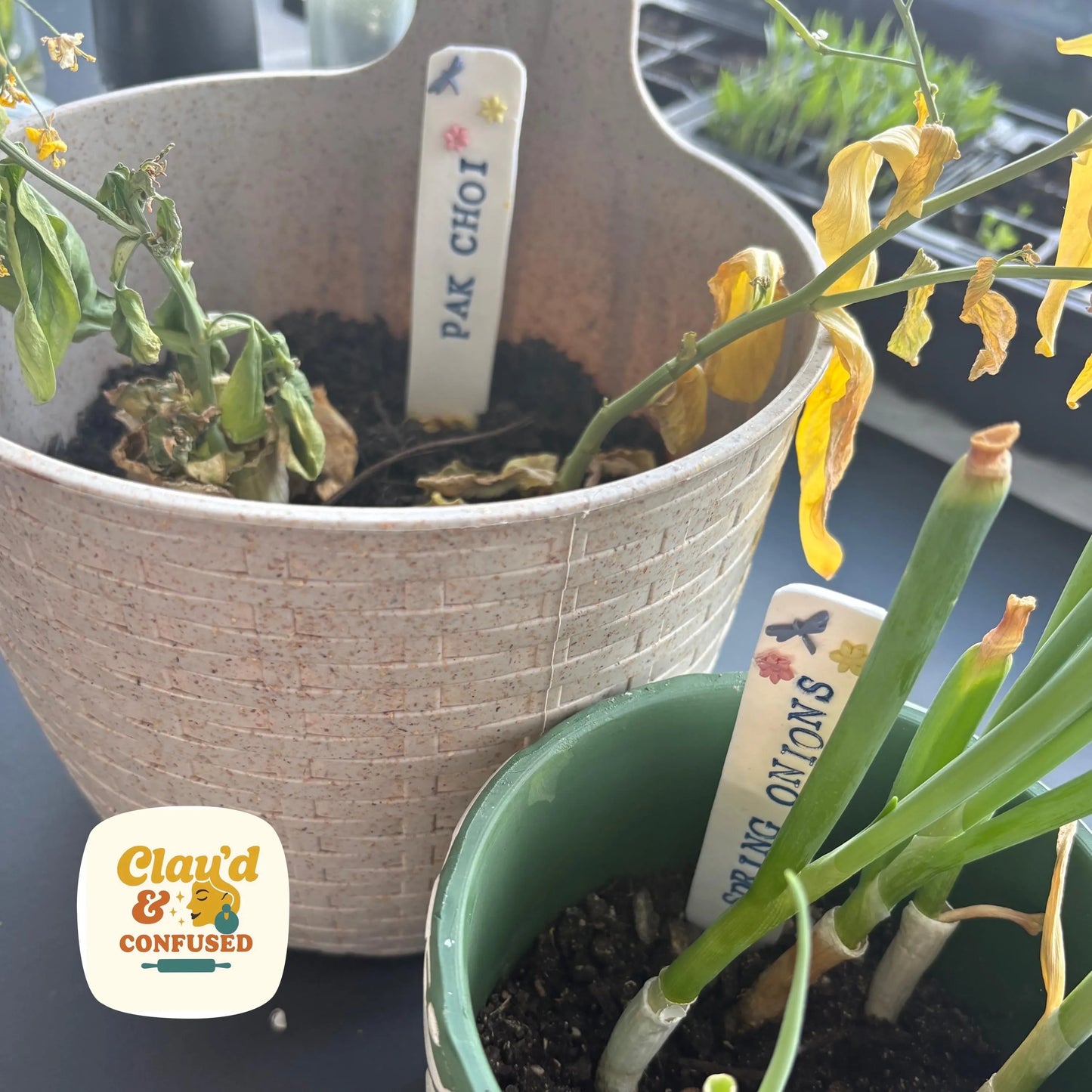 Handmade Clay Plant Markers — Clay'd in the Garden